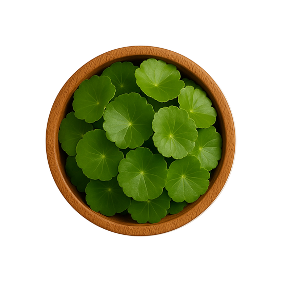 GOTU KOLA (CENTELLA ASIATICA).webp__PID:74195169-baa3-40f9-a30a-ac2884bb92ba