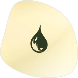 Group 1140.webp__PID:71b2b685-fdca-45b7-a595-3df1ee3e3dea