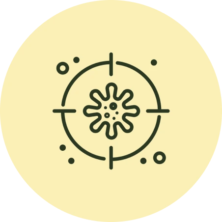 Group 20.webp__PID:a59ab78f-282c-47c4-907e-8d0273c30723