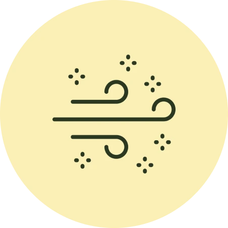 Group 21.webp__PID:efa59ab7-8f28-4c47-84d0-7e8d0273c307
