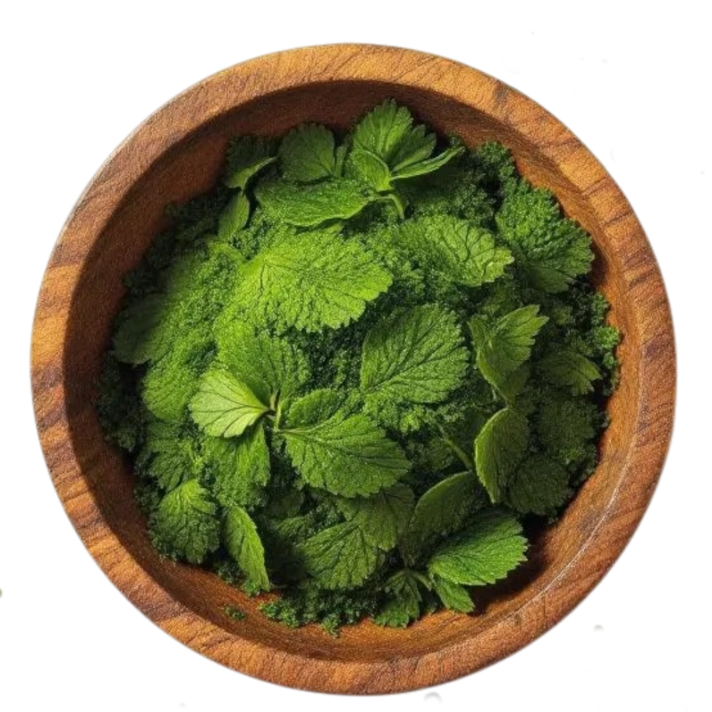 top view of centella asiatica pennywort extract in a small wooden bowl-Photoroom copy.webp__PID:e53b6591-62d7-4151-9e37-f38ccb94a01c