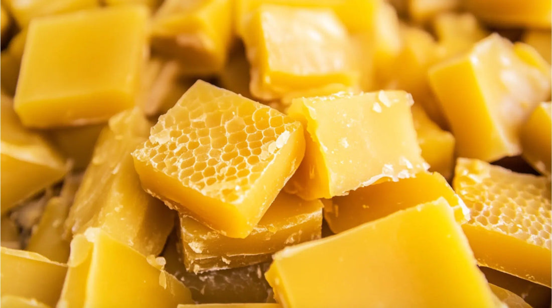 5 Amazing Benefits of Beeswax for Skincare - Sky and Sol