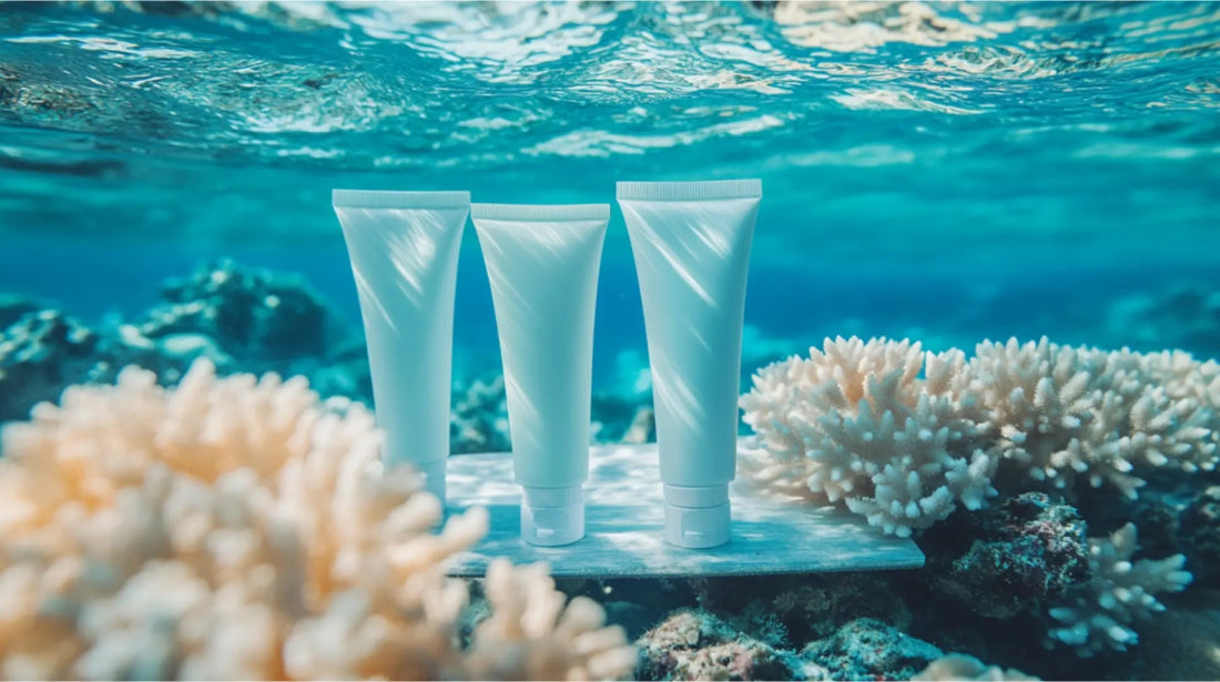 5 Best Reef-Safe Sunscreens in 2025 - Sky and Sol
