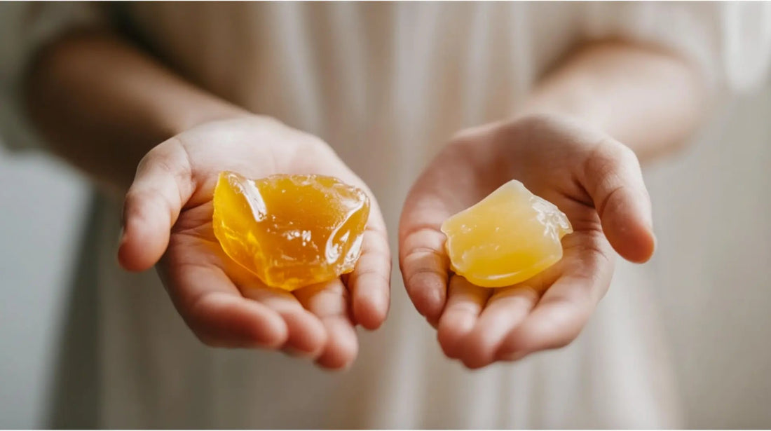 Beeswax vs. Petroleum Jelly: Which is Better for Your Skin - Sky and Sol