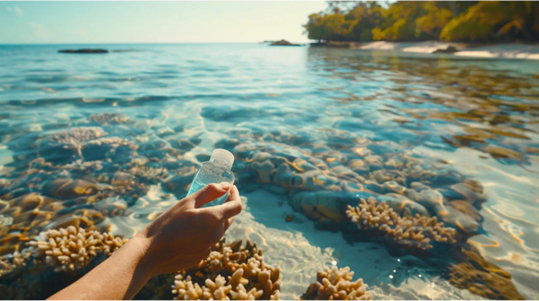 How Sunscreen Ingredients Affect the Environment - Sky and Sol