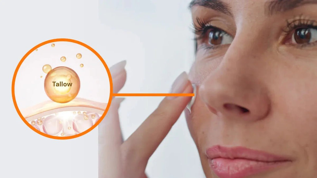 Tallow vs Traditional Moisturizers: Which is Better for Your Skin - Sky and Sol