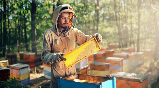 A man holding a beehive