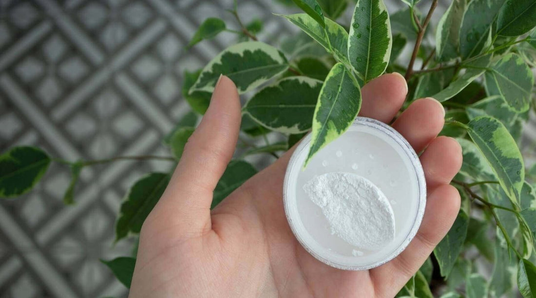 Unveiling the Science behind Zinc Oxide Sunscreen and its Superior UV Protection - Sky and Sol