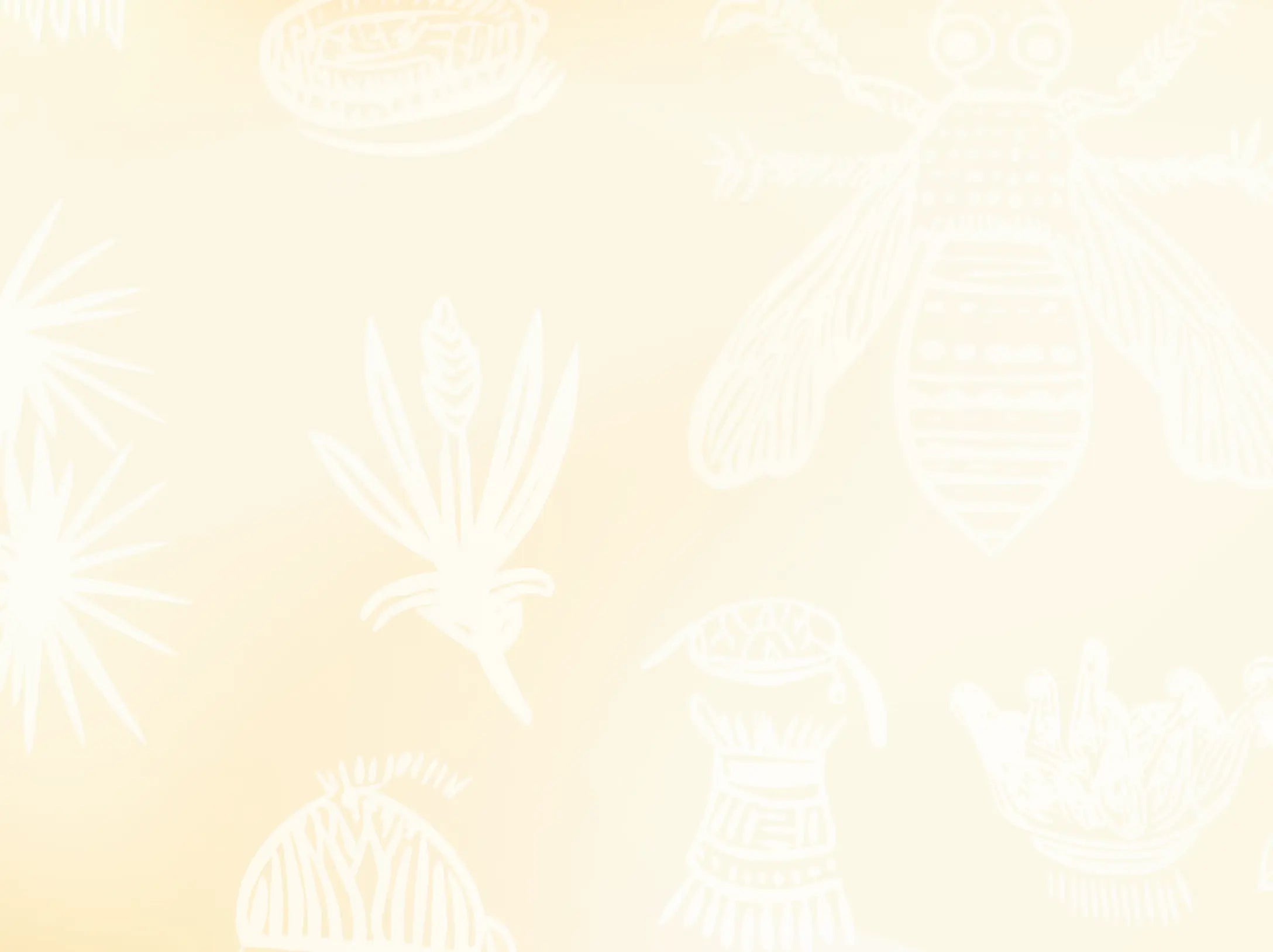 Text (2).webp__PID:b871fe25-f0b6-4130-a1b7-4758f21fbe8a