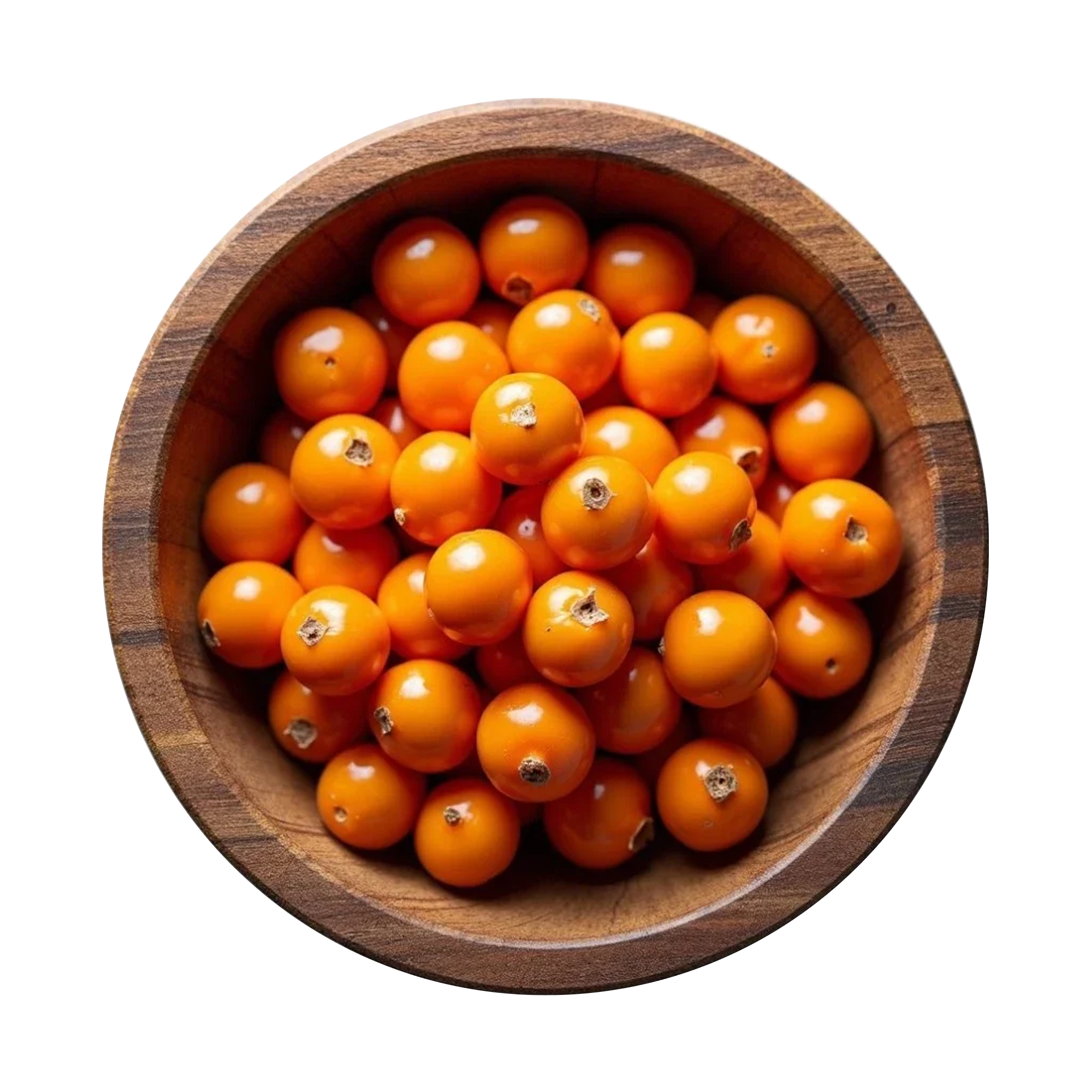 sea_buckthorn.webp__PID:175bd10e-83e2-4f08-8696-987390978916